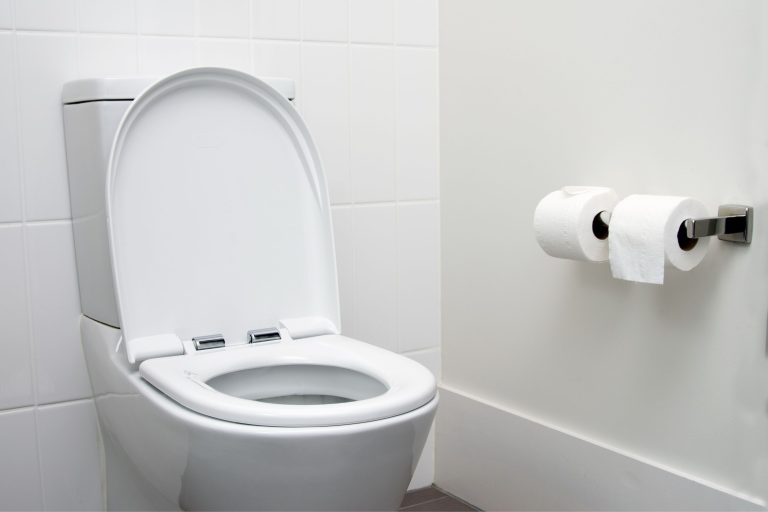 Blocked toilet